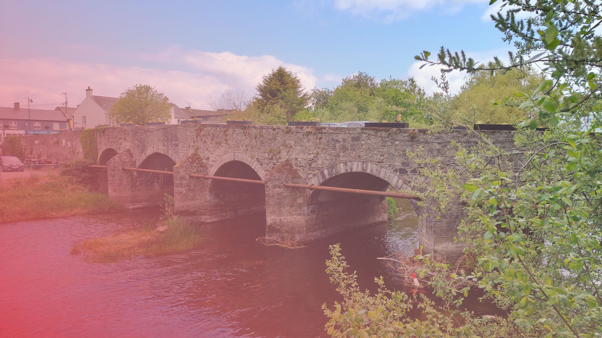 CABTA%20Celbridge%20Area%20Based%20Transport%20Assessment%20Survey_4.jpg